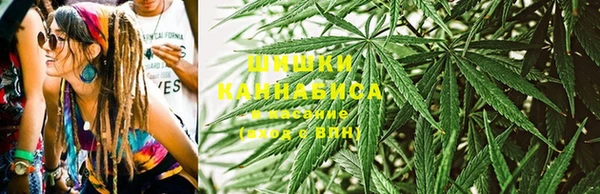 прущие крисы Покровск