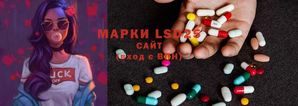 ГАЛЛЮЦИНОГЕННЫЕ ГРИБЫ Бердск