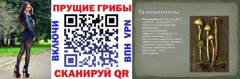 Галлюциногенные грибы GOLDEN TEACHER  Гай 