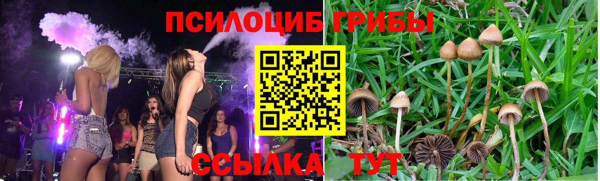 Галлюциногенные грибы ЛСД  Галлюциногенные грибы Cubensis  Гай  Вход с VPN 