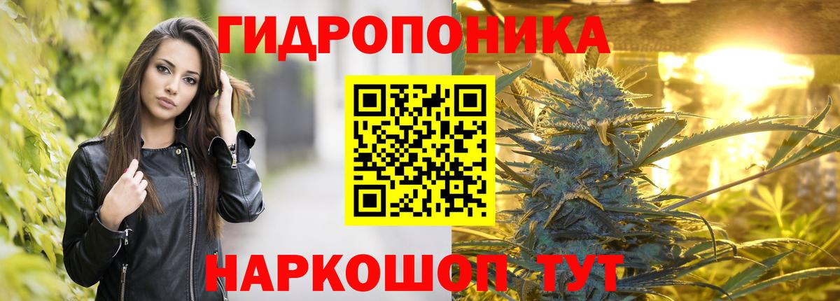 Конопля MAZAR  Бошки Шишки AK-47  МАРИХУАНА семена  Гай 